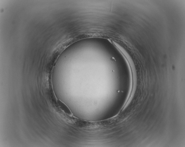 X0000063490696200601231412