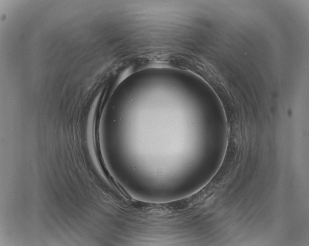 X0000063490697200601231412