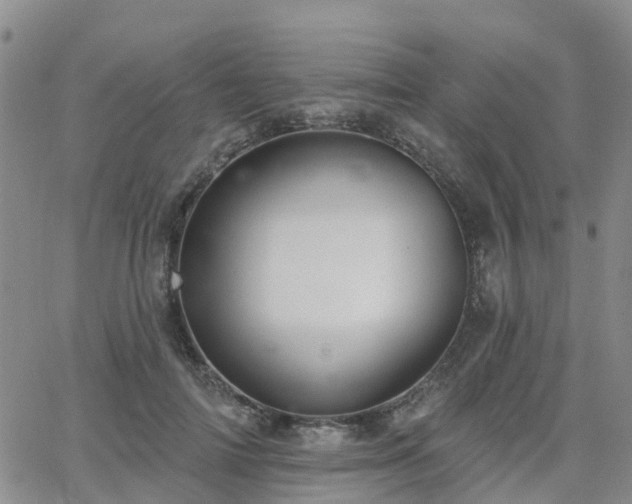 X0000063490698200601231412