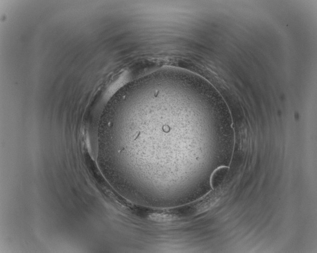 X0000063490699200601231412