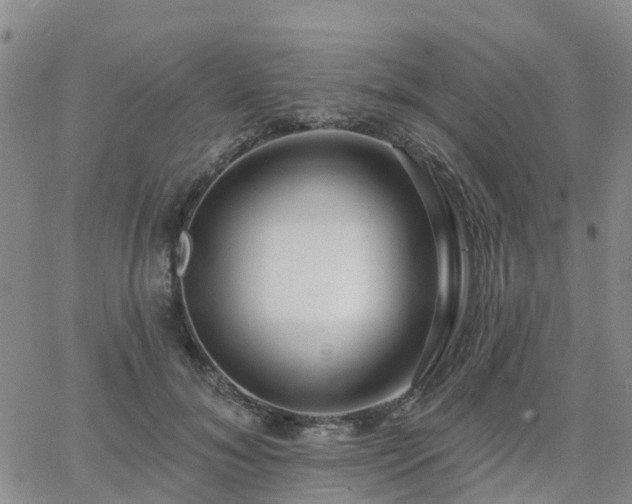 X0000063490700200601231412