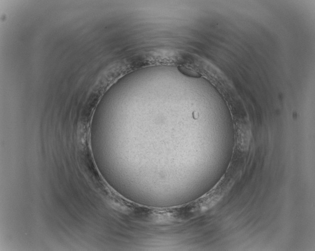 X0000063490701200601231412