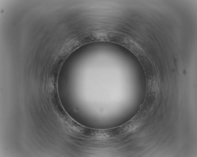 X0000063490702200601231412