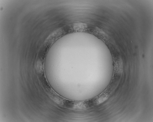 X0000063490705200601231412