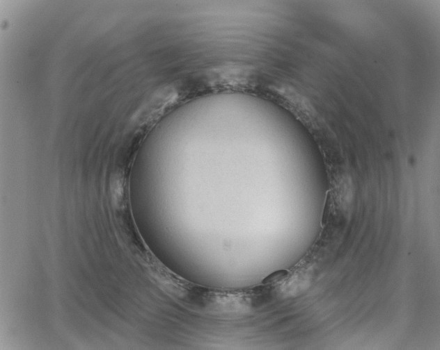 X0000063490709200601231412