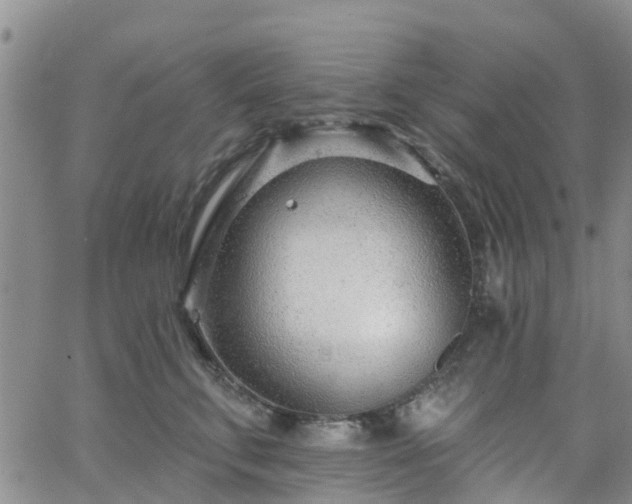 X0000063490711200601231412