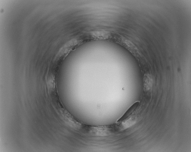 X0000063490713200601231412