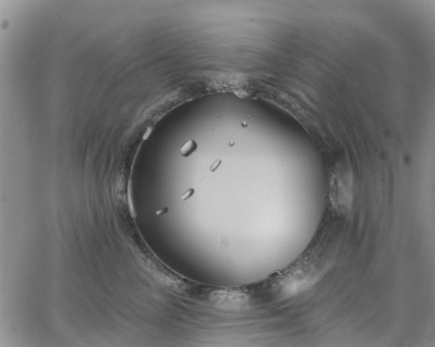 X0000063490714200601231412