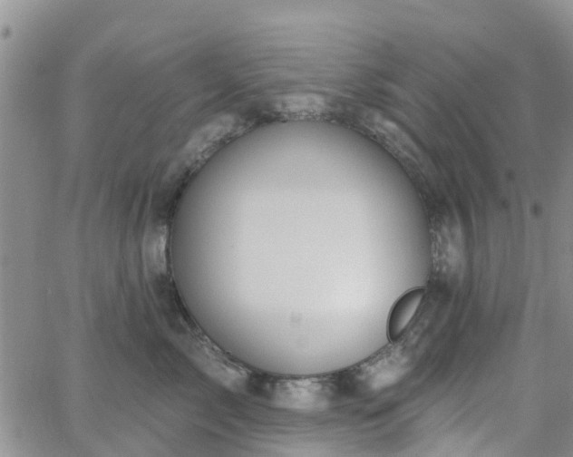 X0000063490717200601231412