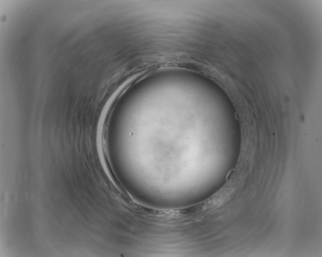 X0000063490720200601231412