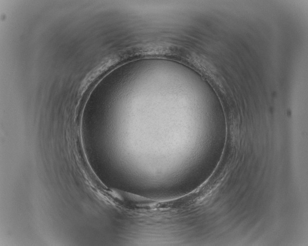 X0000063490721200601231411