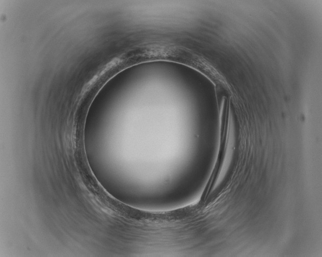 X0000063490722200601231411