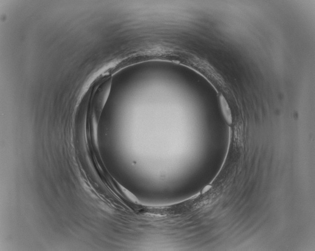 X0000063490724200601231411