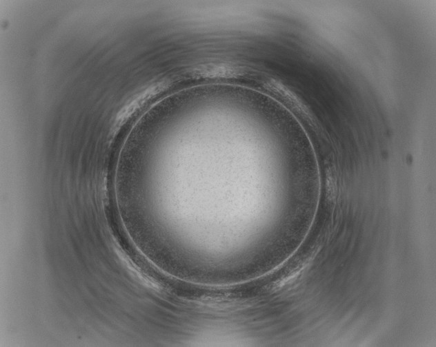 X0000063490725200601231411