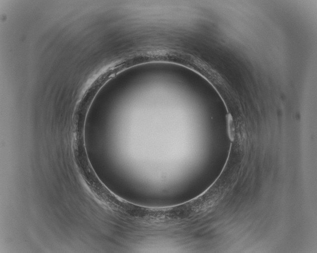 X0000063490728200601231411