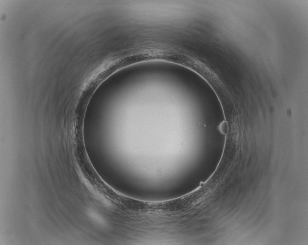 X0000063490730200601231411