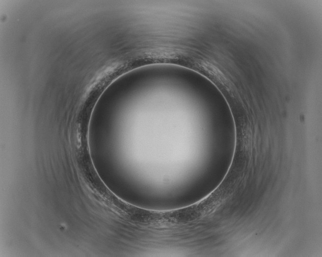 X0000063490731200601231411