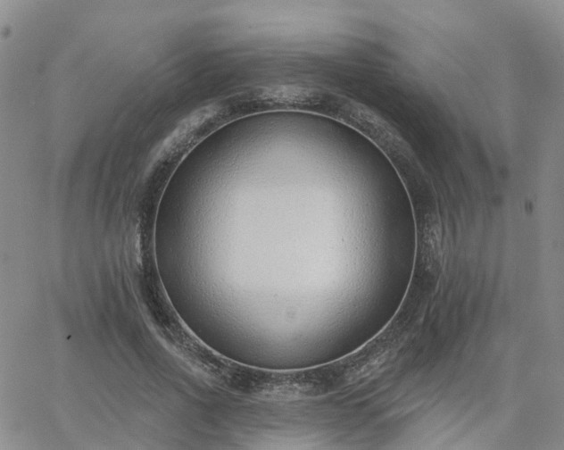 X0000063490734200601231411