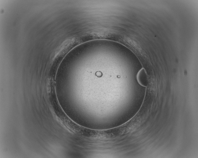 X0000063490738200601231411