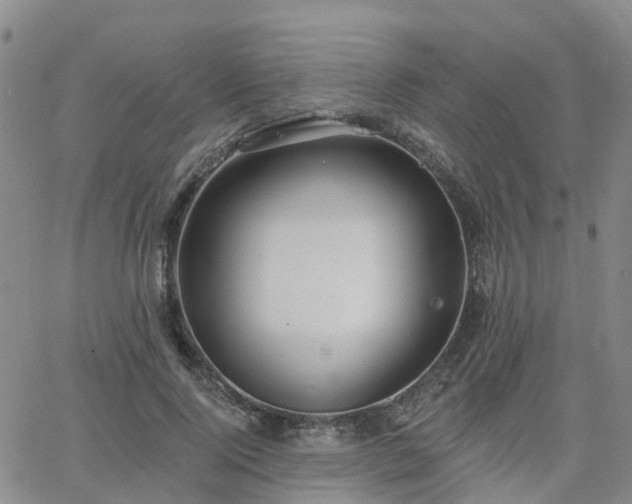 X0000063490740200601231411