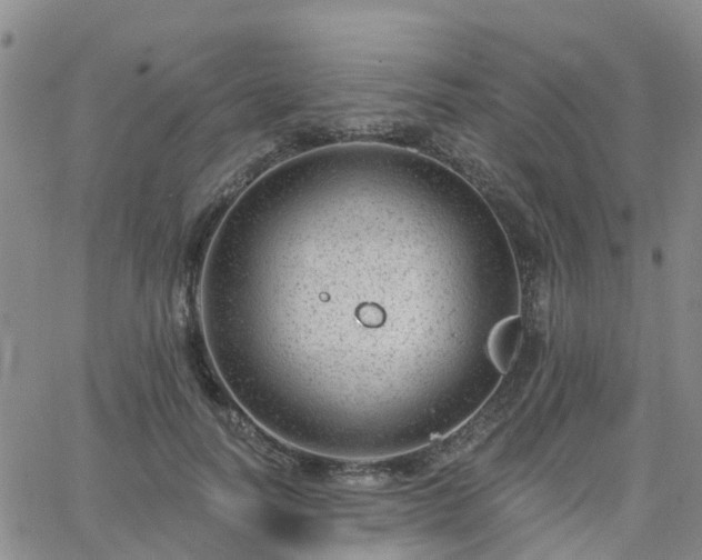 X0000063490746200601231411