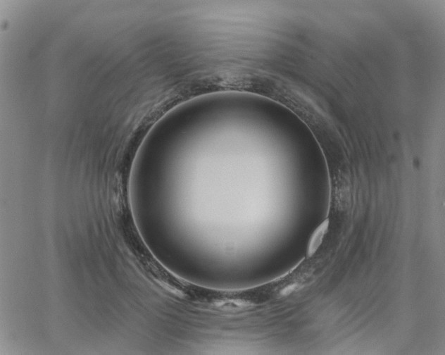 X0000063490748200601231411