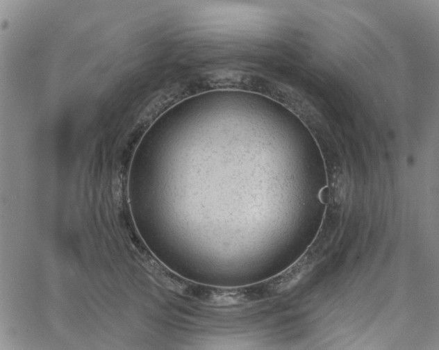 X0000063490753200601231412