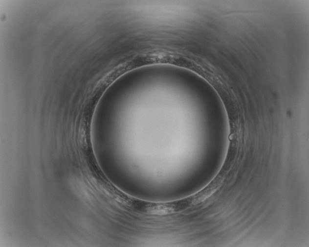 X0000063490754200601231412