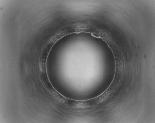 X0000063490755200601231412