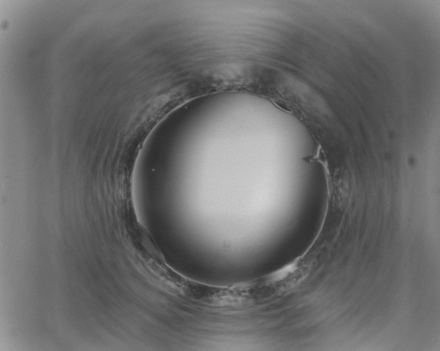 X0000063490756200601231412