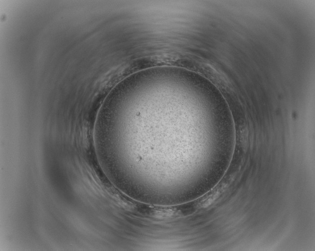 X0000063490757200601231412