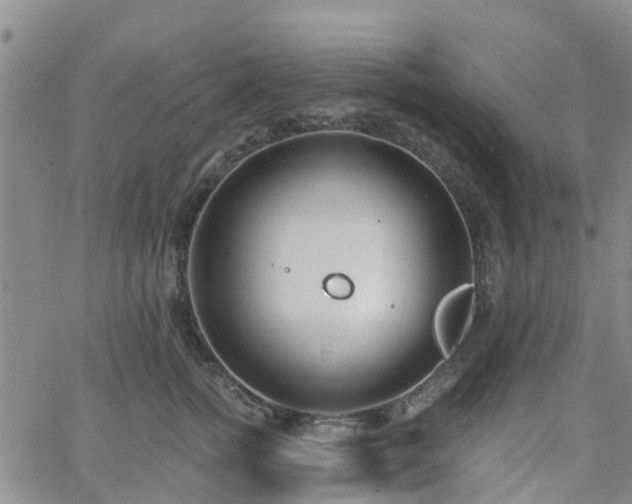 X0000063490758200601231412