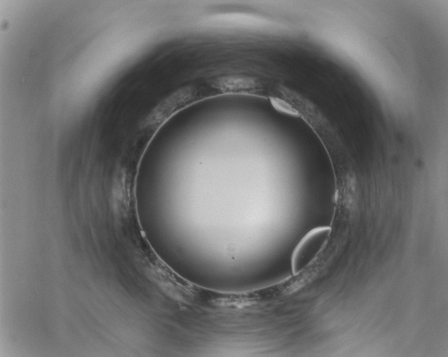 X0000063490763200601231412