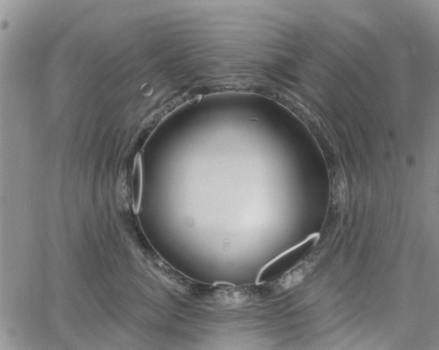 X0000063490764200601231412