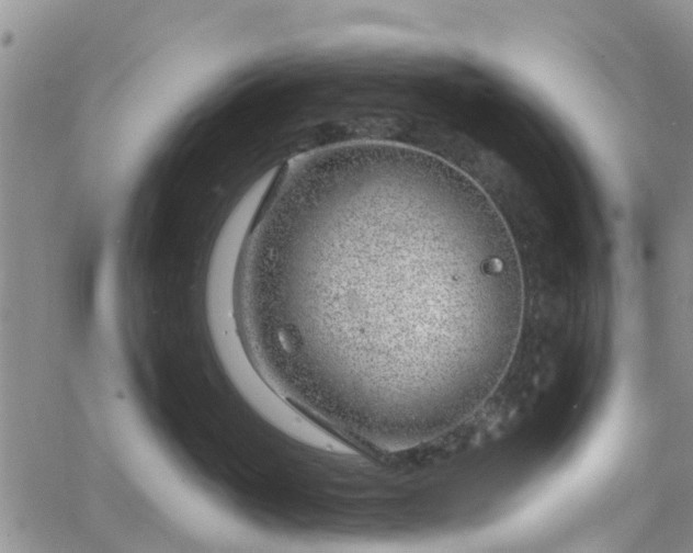 X0000063490765200601231412