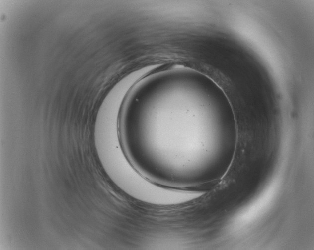 X0000063490766200601231412