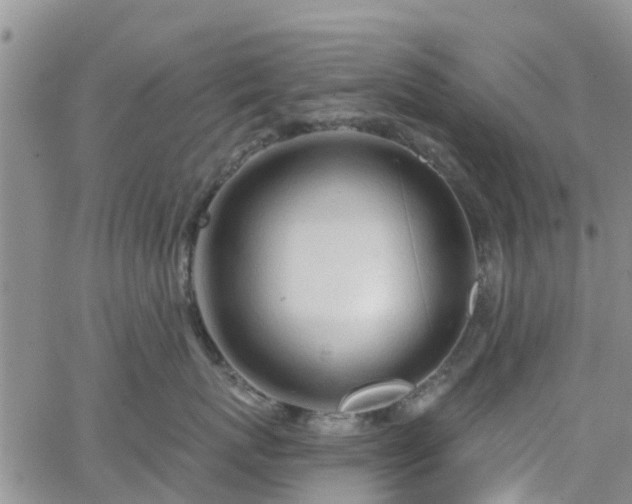 X0000063490767200601231412