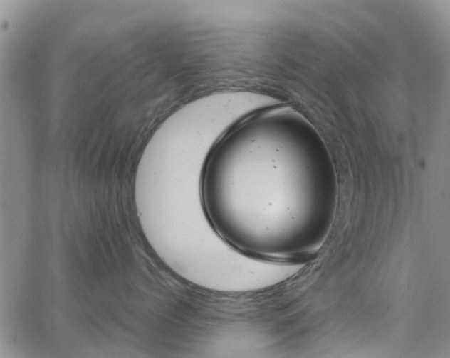 X0000063490768200601231412