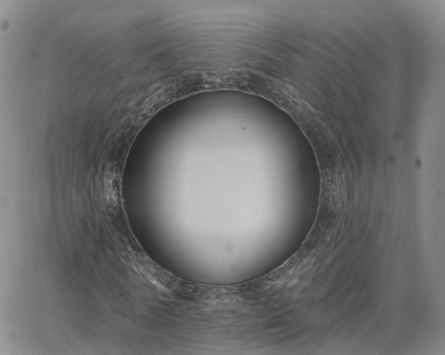 X0000063490770200601231411