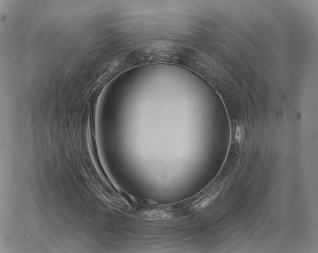 X0000063490771200601231411