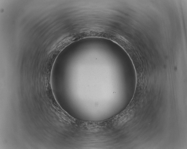 X0000063490774200601231411