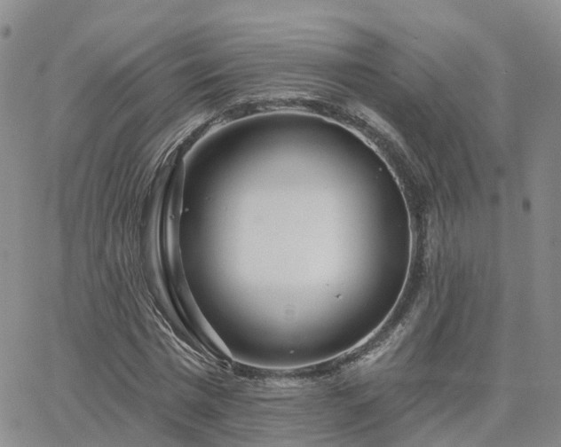 X0000063490777200601231411