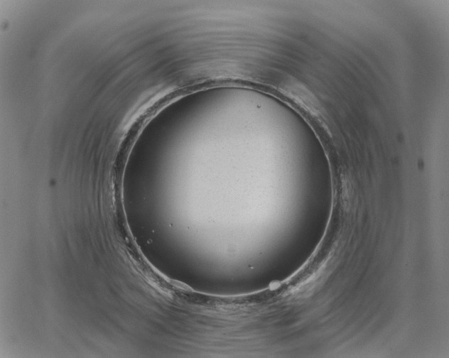 X0000063490782200601231411