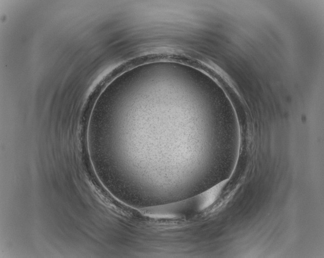 X0000063490783200601231411