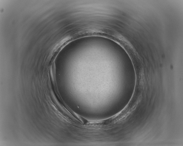 X0000063490785200601231411