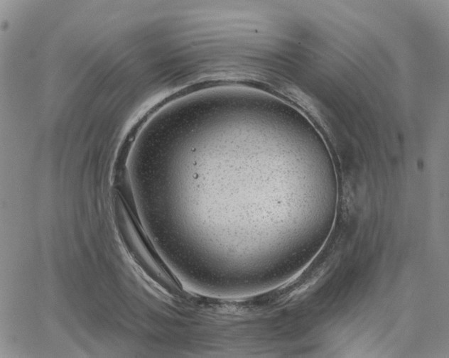 X0000063490787200601231411