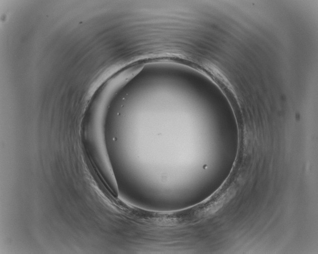 X0000063490789200601231411