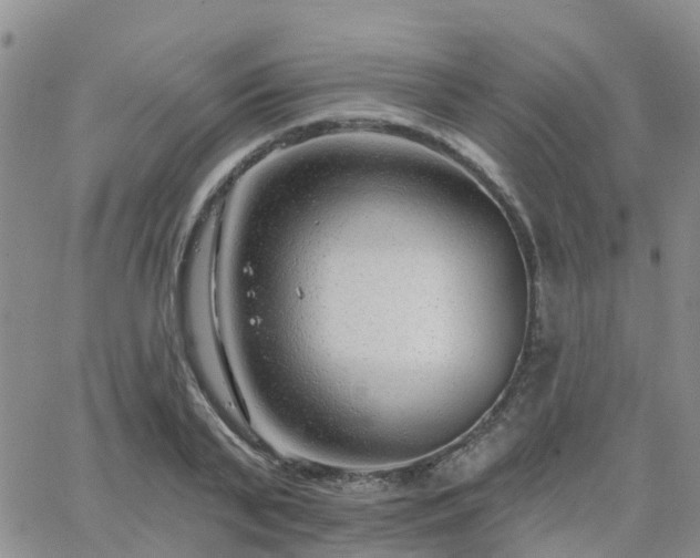 X0000063490791200601231411