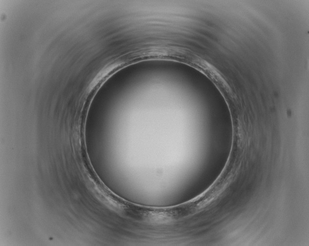 X0000063490794200601231411