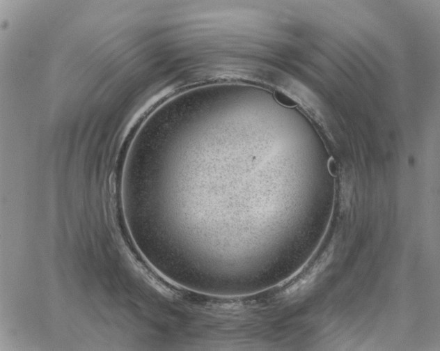 X0000063490798200601231411